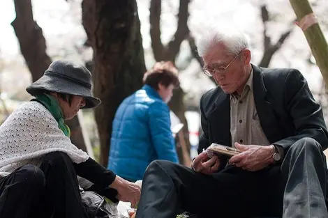 Hanami pour tous 