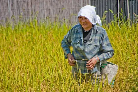 Les agriculteurs prient pour de bonnes récoltes lors de l'équinoxe de printemps, shunbun no hi