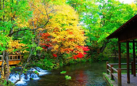 Le parc Fukidashi Kôen, tout en couleurs, au village de Kyôgoku