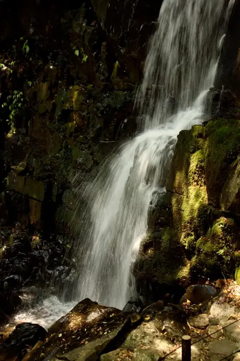 Cascade de la forêt d'Aya