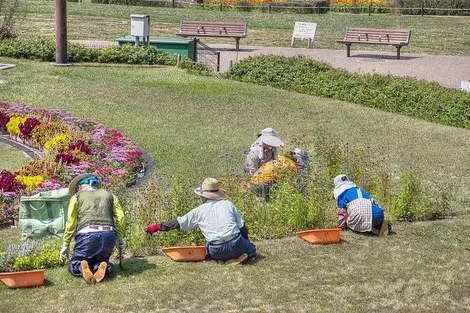 Hattori Ryokuchi koen