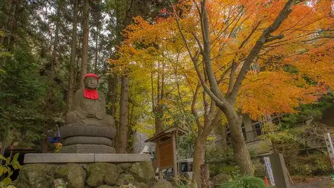 Le temple Zuigan-ji, à Matsushima, l'automne
