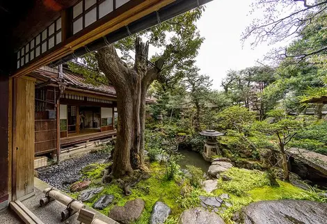 Le jardin de la résidence Nomura sous un autre angle (Kanazawa)