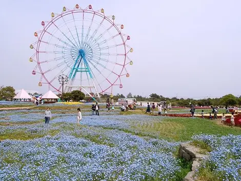 La grande roue