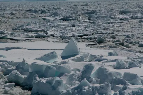 Ice Drift, la mer de glace d'Okhotsk