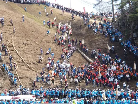 Onbashira matsuri