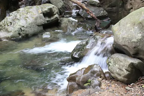 cours d'eau hiji