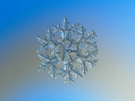 Snowflake_bleu