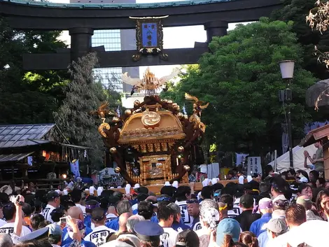 mikoshi-tomioka_hachimangu