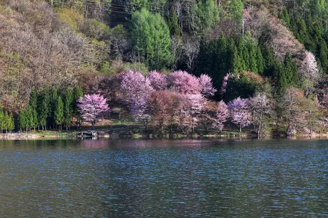 Le lac Nakatsuna au printemps