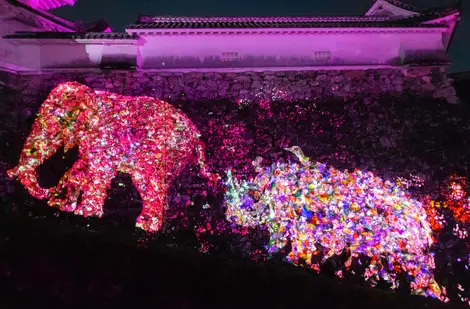 Animals_of_Flowers,_Symbiotic_Lives_in_the_Stone_Wall–Kochi_Castle_06