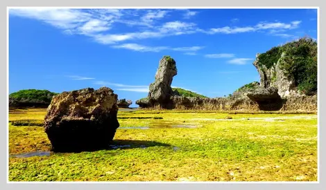 Scène de carte postale au cap Maeda