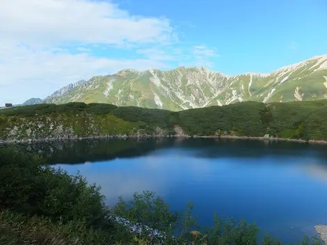 Tateyama Mikurigaike 