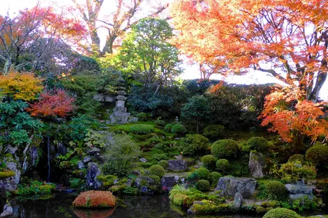 L'automne au temple Jikko-in