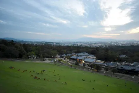 Vista sobre Nara desde el Monte Wakakusa