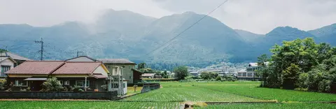 Japan Rice fields Rice fields in japan