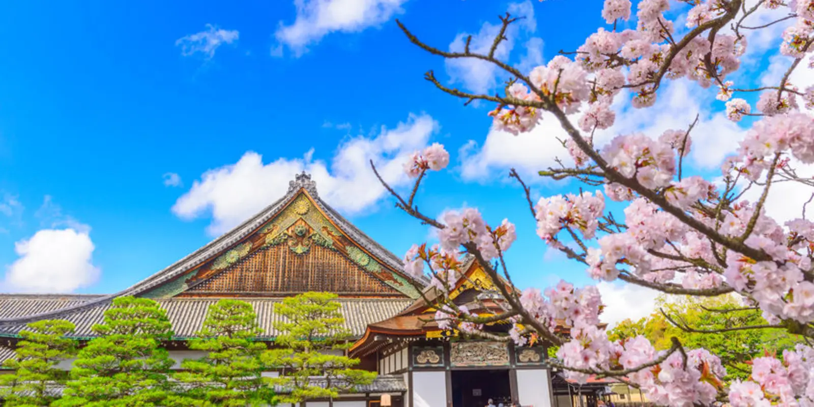 Japan Tour - The Tokaido Road | Japan Experience