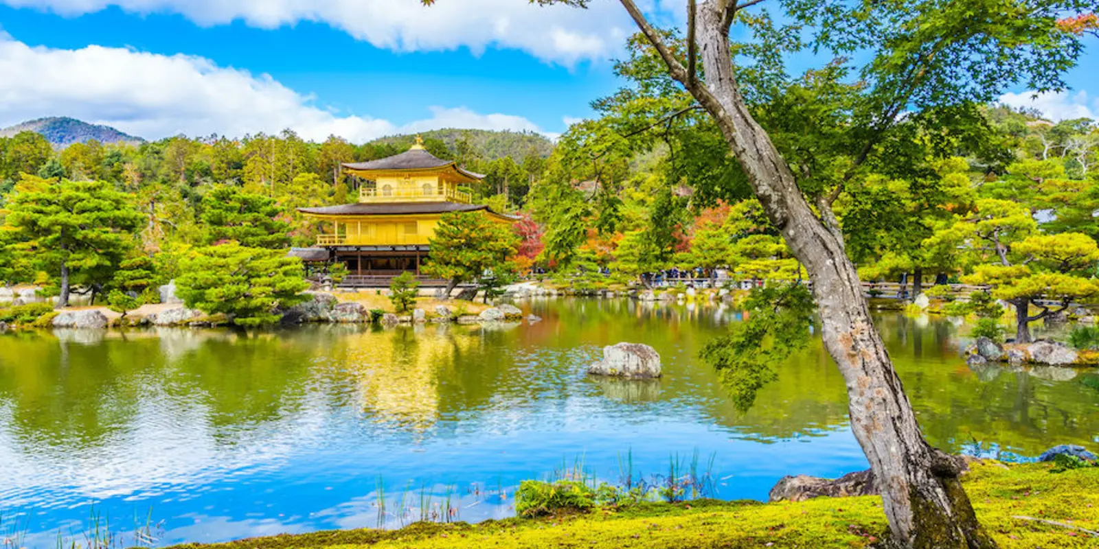 Japan Tour - City Break Kyoto | Japan Experience