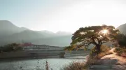 Vue sur la rivière traversant Yakushima
