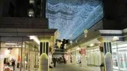 Le quartier de Daikanyama, à un saut de puce de Shibuya, rassemble belles boutiques, terrasses, restaurants et librairies.