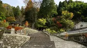 El onsen de Yuwaku internado en la naturaleza.