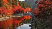 La impresionante vista del puente Taigetsukyo y los arces de Korankei.