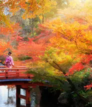 Autumn in Japan Autumn in Japan