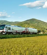 Joyful Hinabi at Iwate  Joyful Hinabi at Iwate