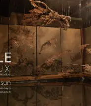 SIte promotionel de la biennale de Biwako 2025 SIte promotionel de la biennale de Biwako 2025 @biwakobiennale