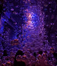 TeamLab Kyoto TeamLab Kyoto