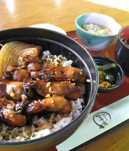 Hiroshima oysters kakidon