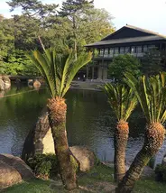 Japan Visitor - tokugawaen-1x.jpg