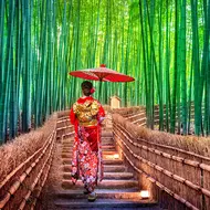 Bamboo grove in Arashiyama : famous touristic site to visit in Kyoto