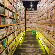 Manga bookshop Mandarake in Akihabara