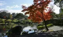 Gardens in Kumamoto