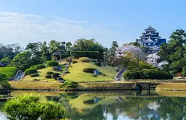 Japanese garden with large pond in the foreground and castle in the background