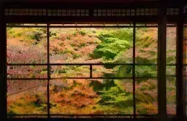 Temple Ruriko-in à Kyoto : un lieu à visiter pour découvrir les magnifiques couleurs d'automne