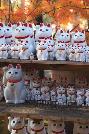 Maneki-neko in Tokyo