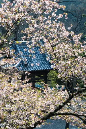 Shikoku-temple-10 Shikoku-temple-10