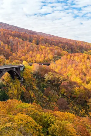 Bridge surrounded by autumn leaves, Aomori Bridge surrounded by autumn leaves, Aomori