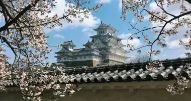 himeji castle cherry trees japan kyoto train tickets