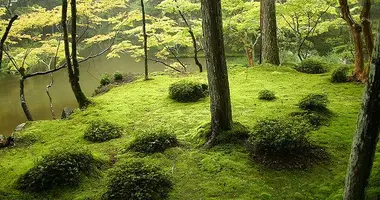 Temple Kokedera