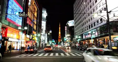 La vie nocturne de Roppongi regorge de boites de nuits et de bars à d'hôtesse.