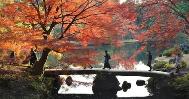 Rikugien Rikugien