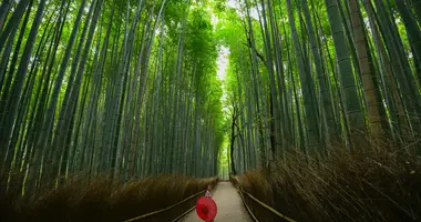 Bambouseraie arashiyama