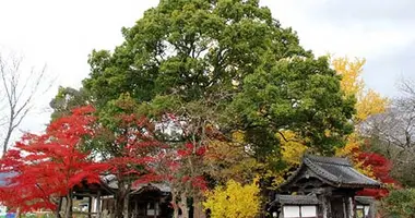 Japan Visitor - kameoka-guide-2.jpg