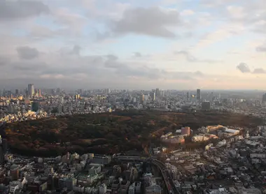 Yoyogi Park, Tokyo Yoyogi Park, Tokyo