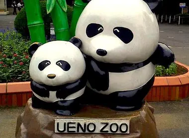 The Ueno Zoo was the first zoo in Japan receive a pair of Chinese panda.