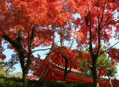 Tempio Mitakidera