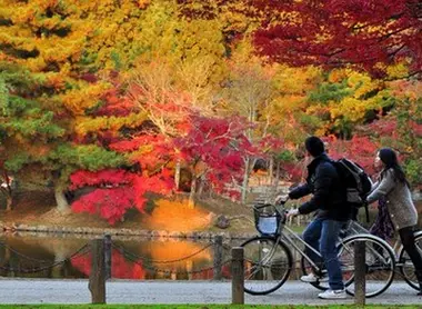 Nara Koen Nara Koen